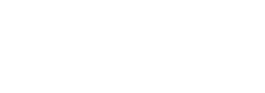 ldf logo white transparent 1080px
