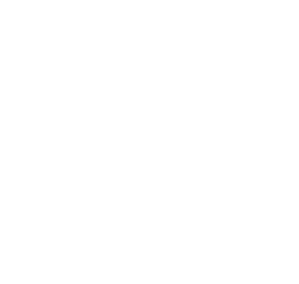 Save The Music Logo
